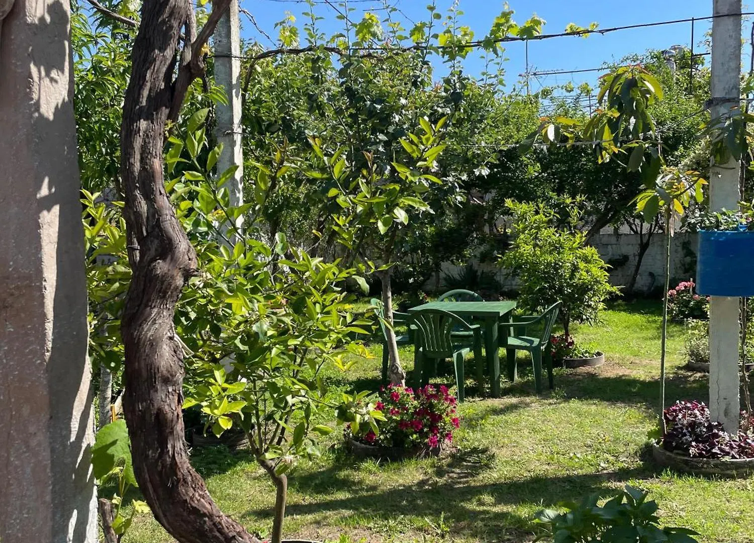 וילה Vlorë Guest House Miracle Garden אלבניה