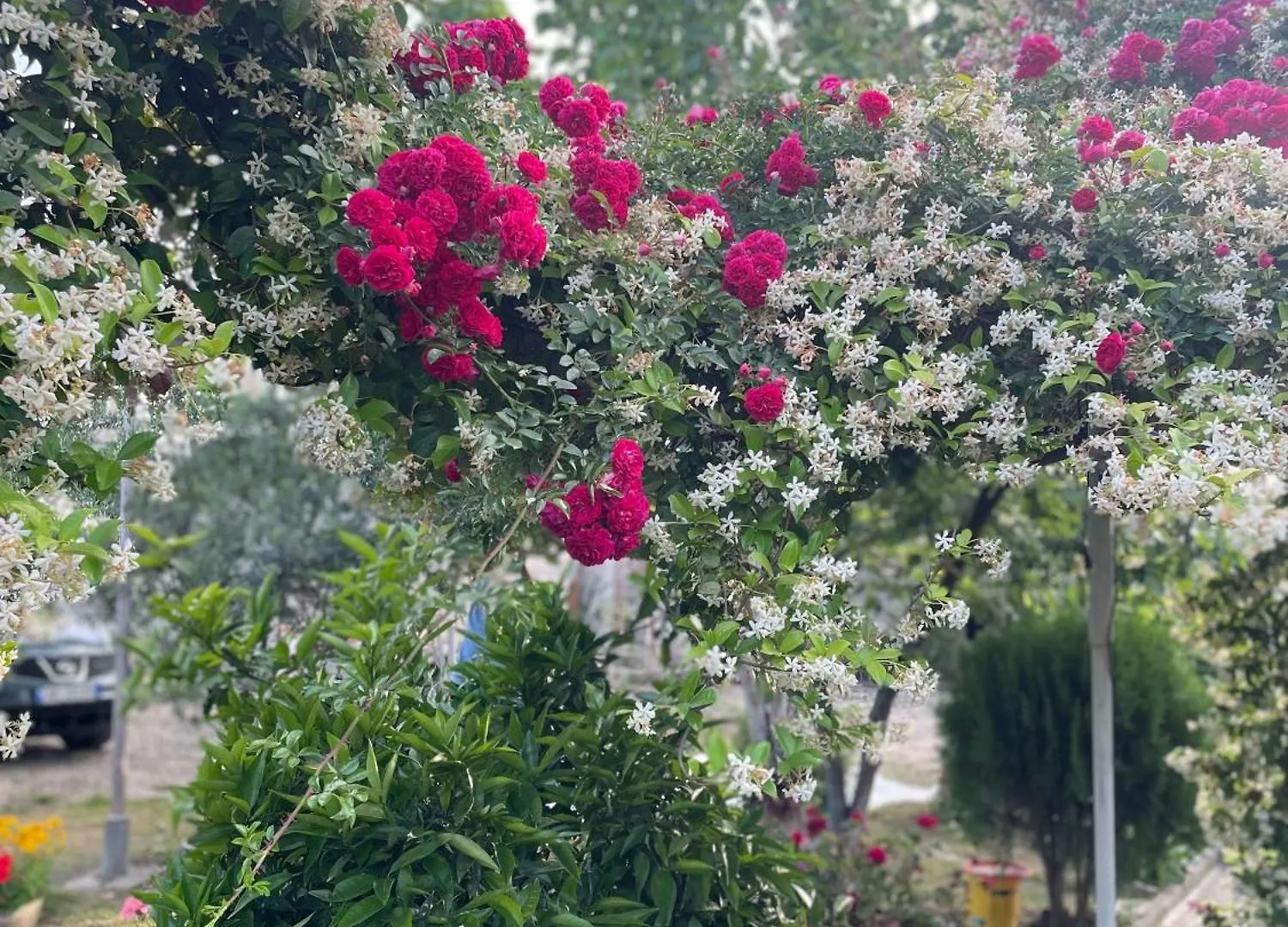 Guest House Miracle Garden Vlore Villa
