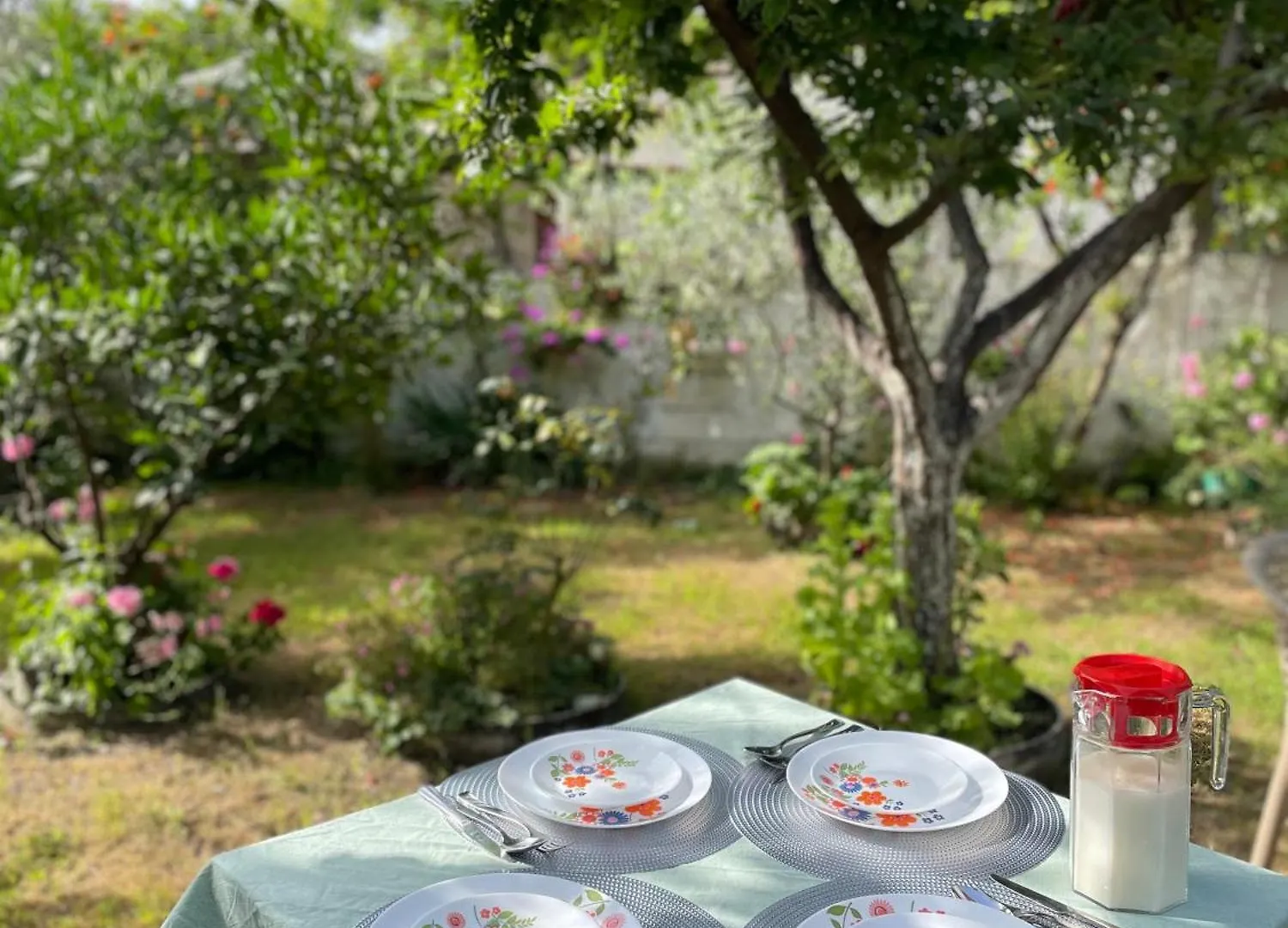 Guest House Miracle Garden Vlore