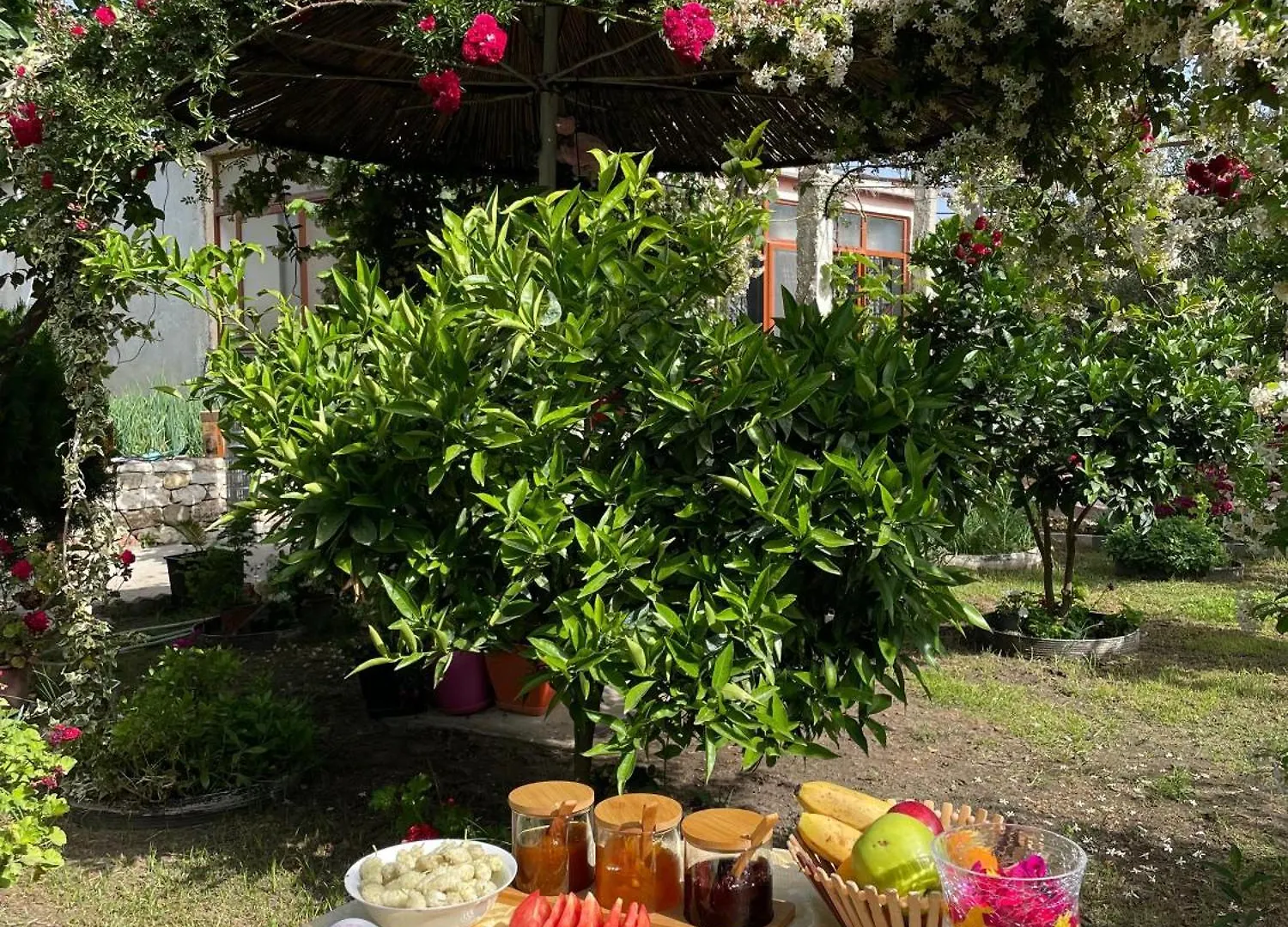 Villa Guest House Miracle Garden Vlore