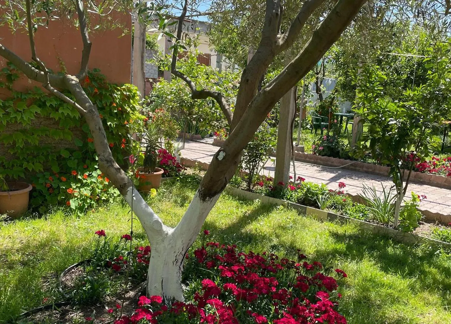 Vlorë Guest House Miracle Garden 0*,  אלבניה