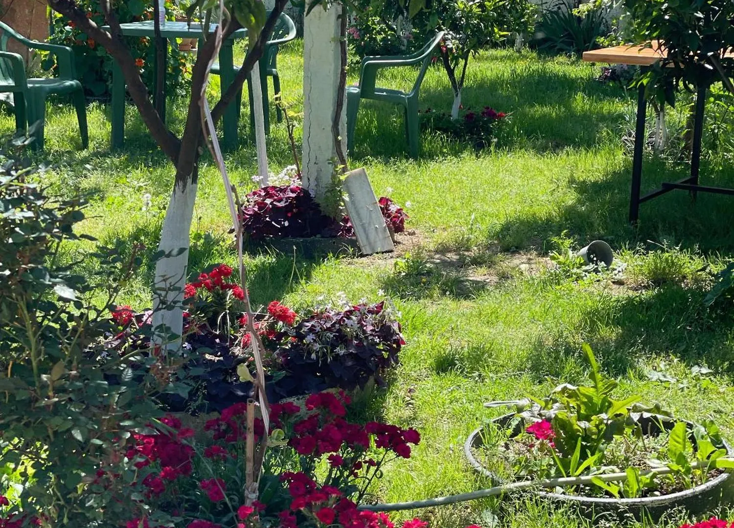 Guest House Miracle Garden Wlora Willa