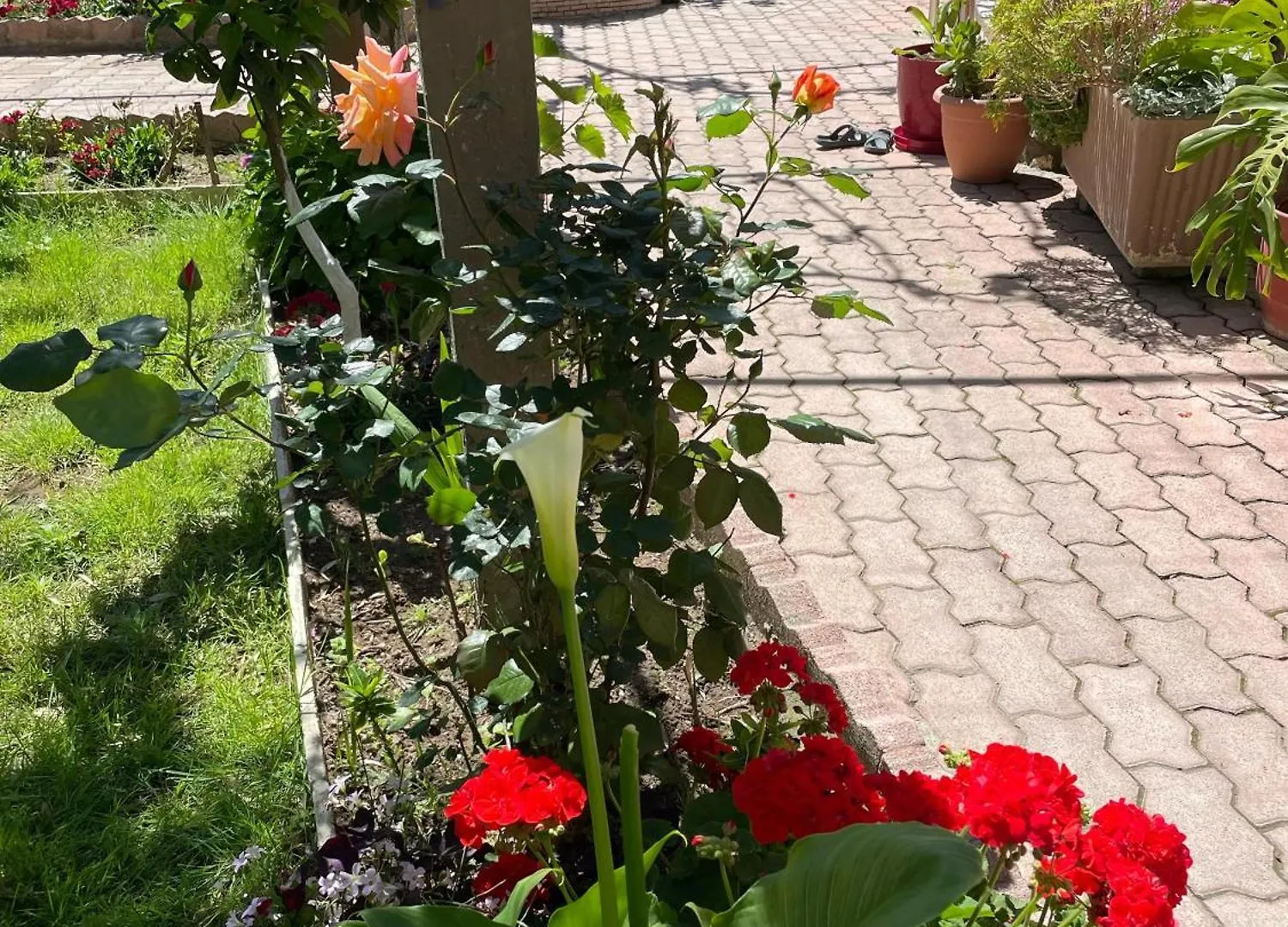 Guest House Miracle Garden Vlore 0*,