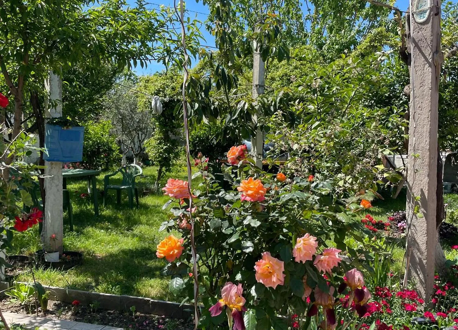 Villa Guest House Miracle Garden Vlore