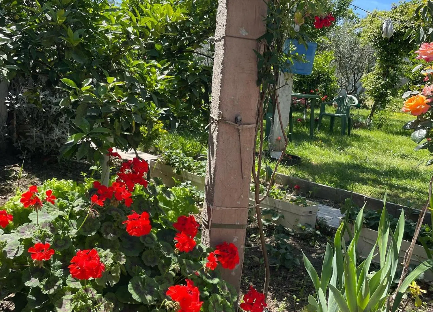 Guest House Miracle Garden Vlore Albania