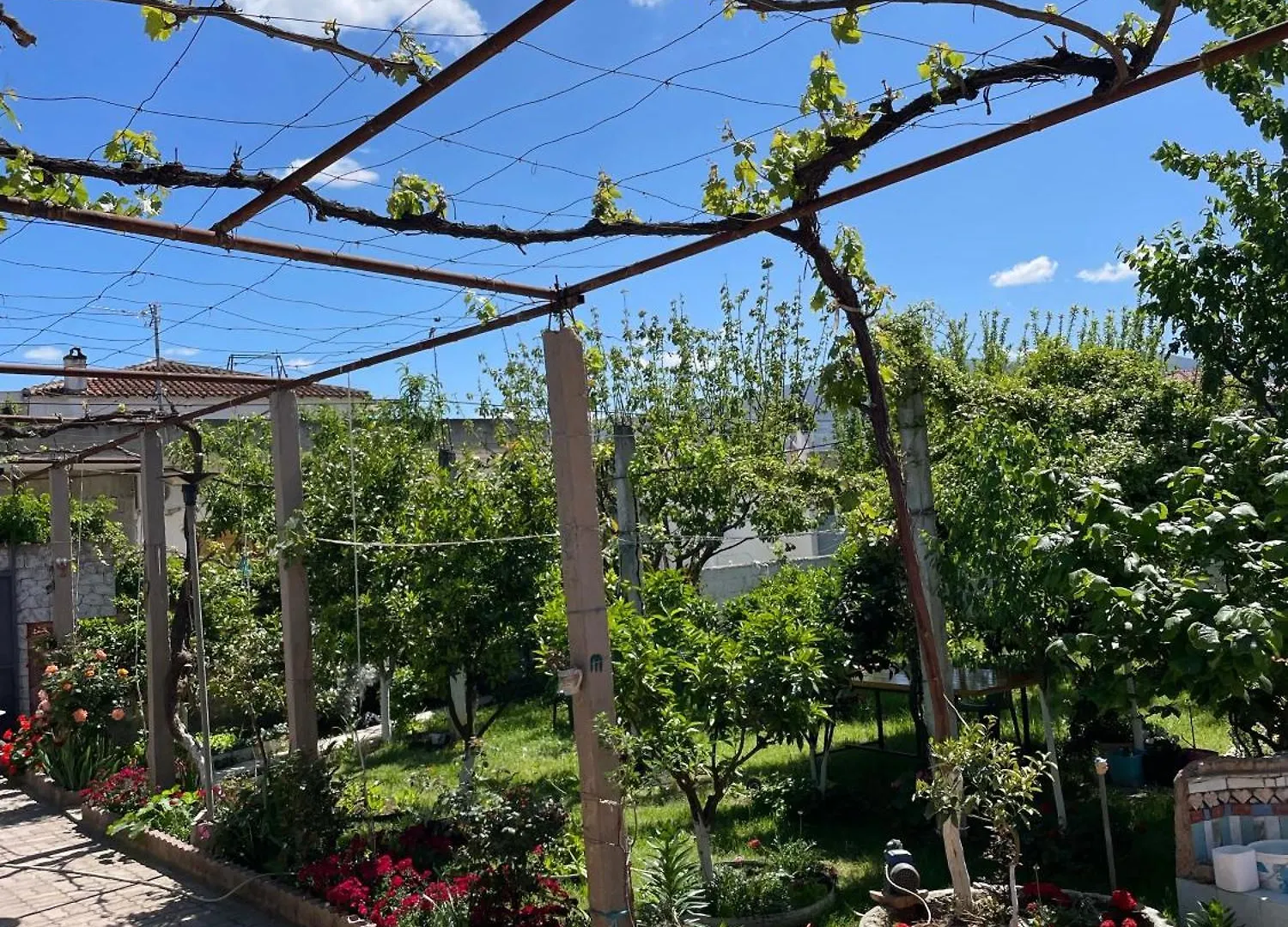Guest House Miracle Garden Vlore