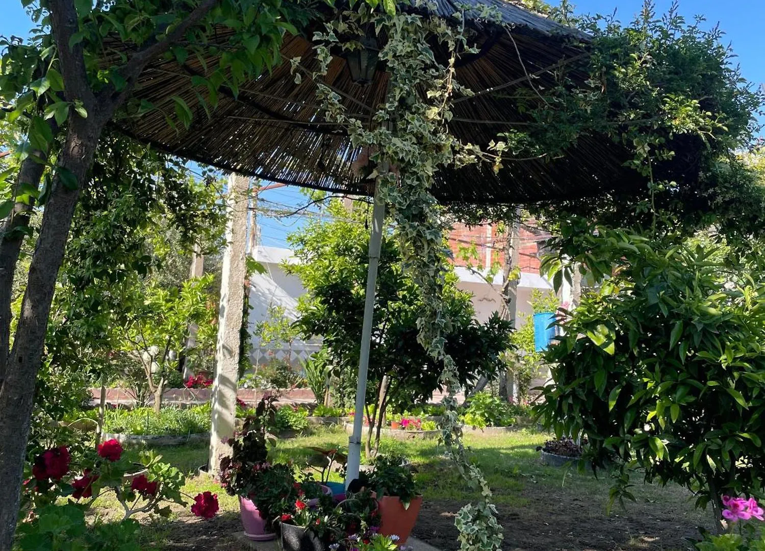 Villa Guest House Miracle Garden Vlore