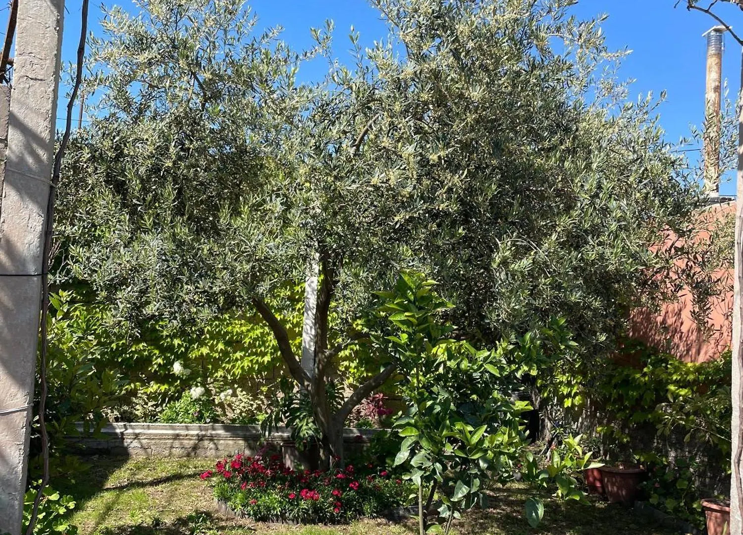 Guest House Miracle Garden Vlore Albania