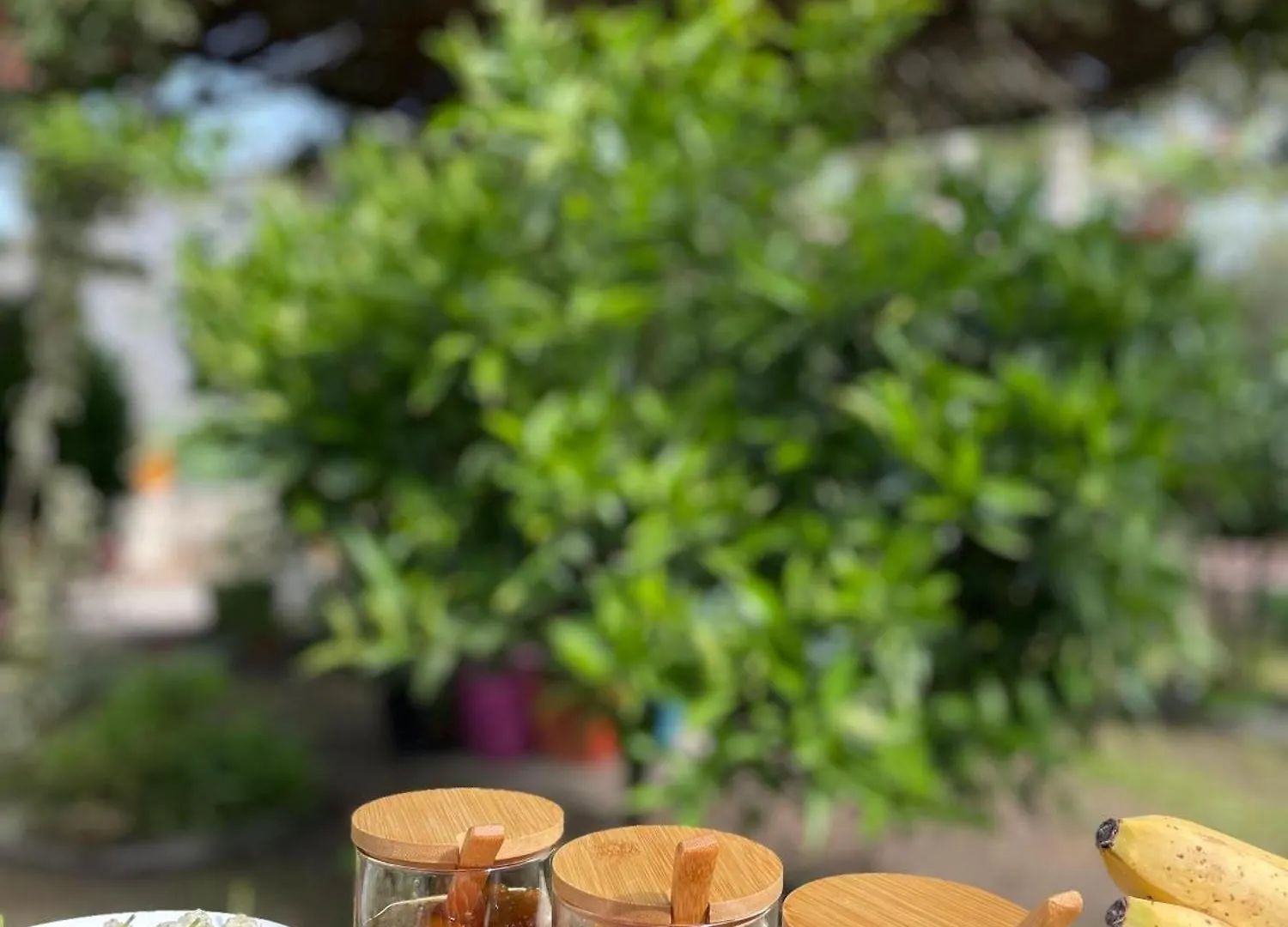 Villa Guest House Miracle Garden Vlore Albania