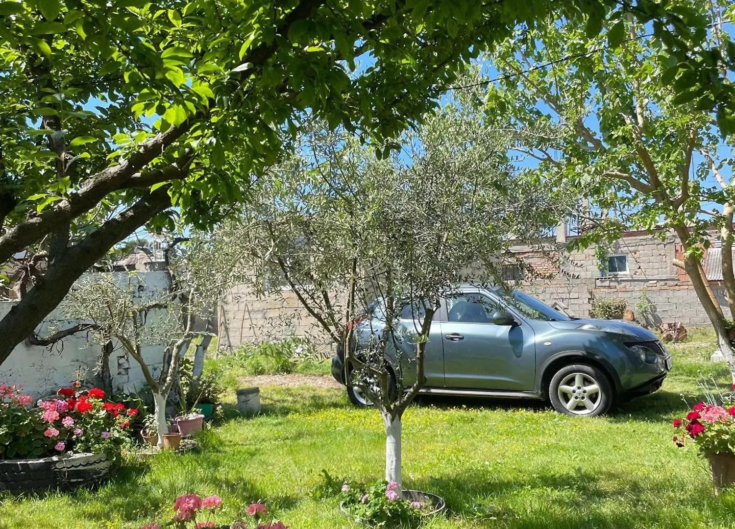 Guest House Miracle Garden Vlore Villa