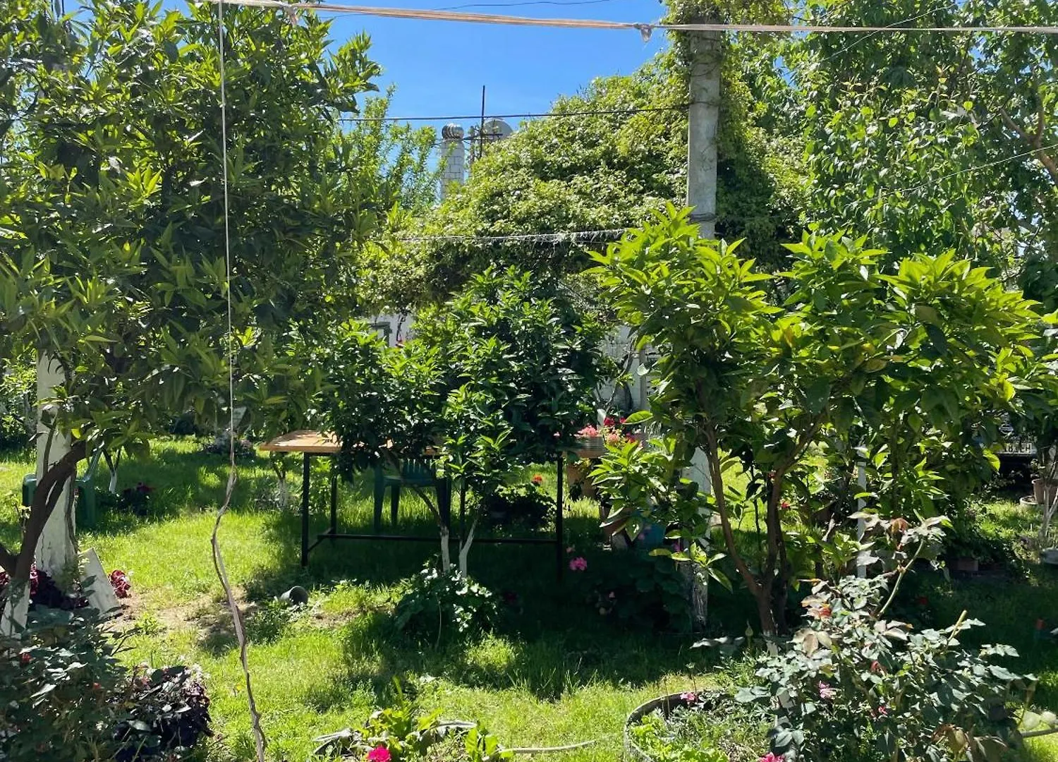 Guest House Miracle Garden Vlore