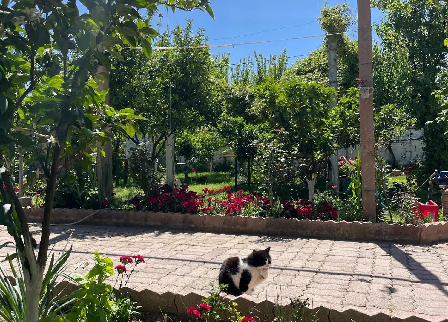 Guest House Miracle Garden Vlore