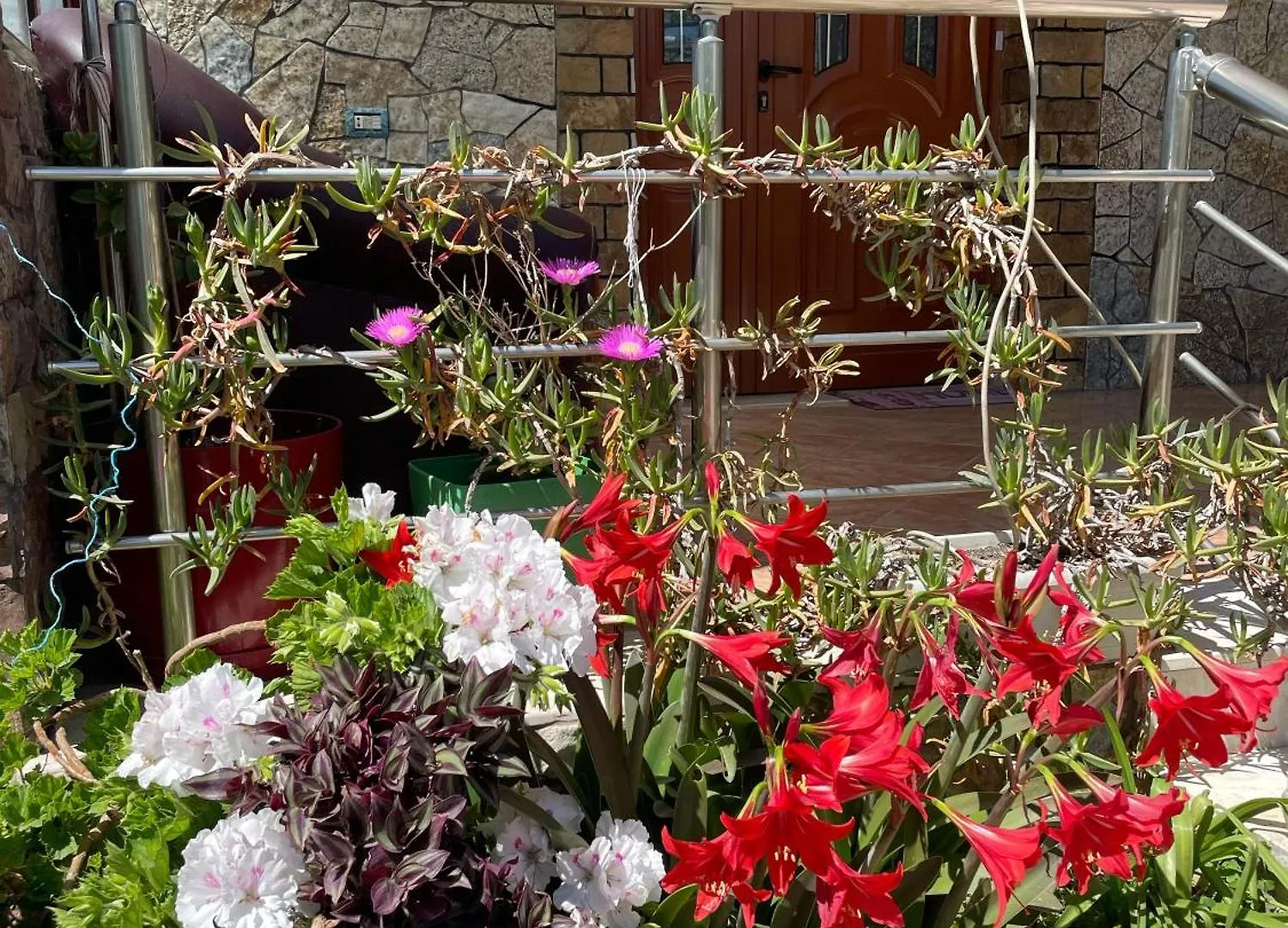 Villa Guest House Miracle Garden Vlore Albania
